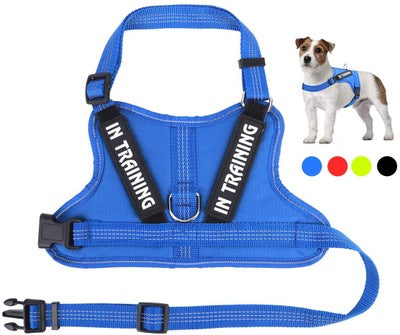 Personalize harness
