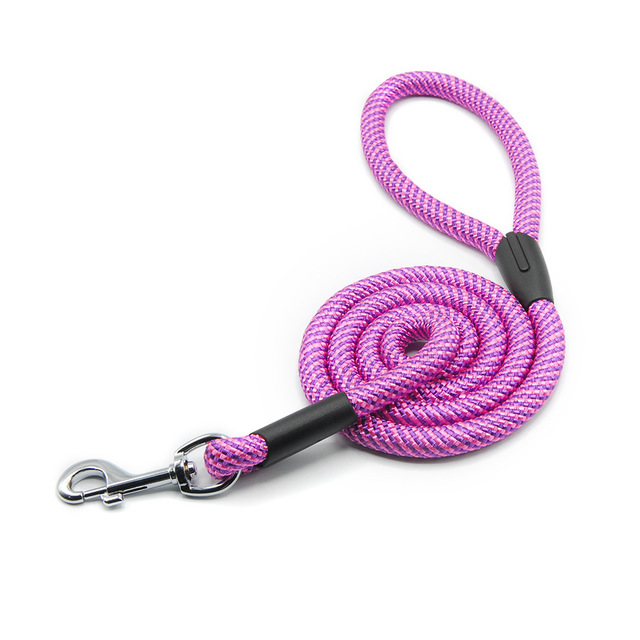 Dog and cat leash