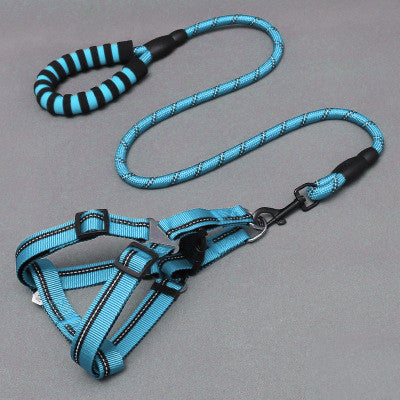 Dog Leash and Harness