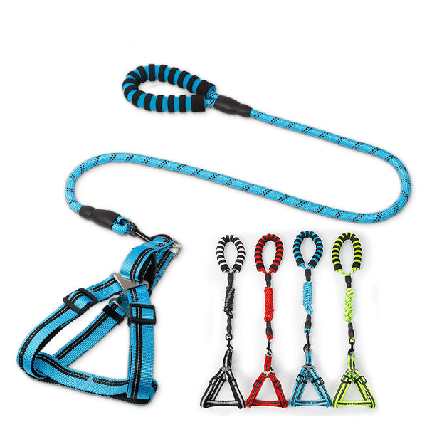 Dog Leash and Harness