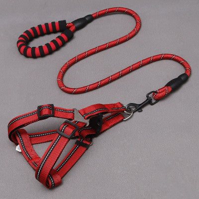 Dog Leash and Harness