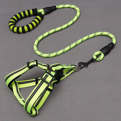 Dog Leash and Harness