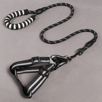 Dog Leash and Harness