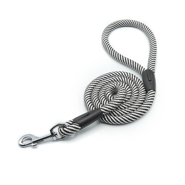Dog and cat leash