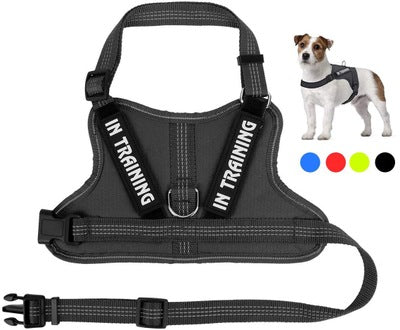 Personalize harness