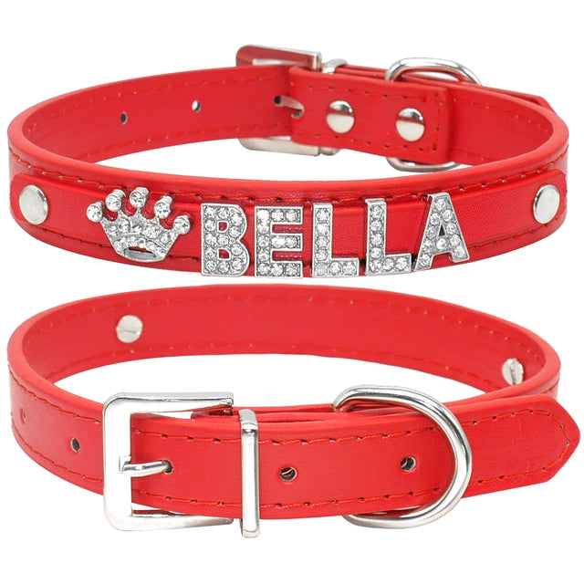 Personalized Cat And Small Dogs Collars