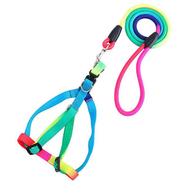 Colorfull Leash