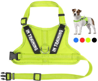 Personalize harness