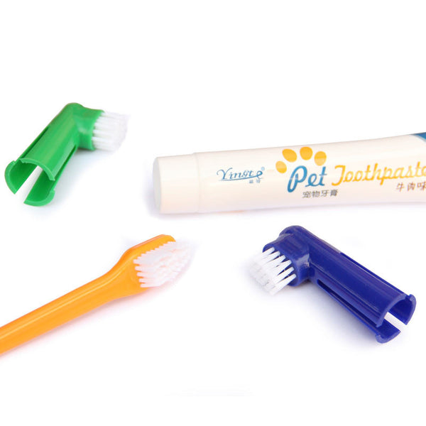 Cleaning Teeth - China Kit