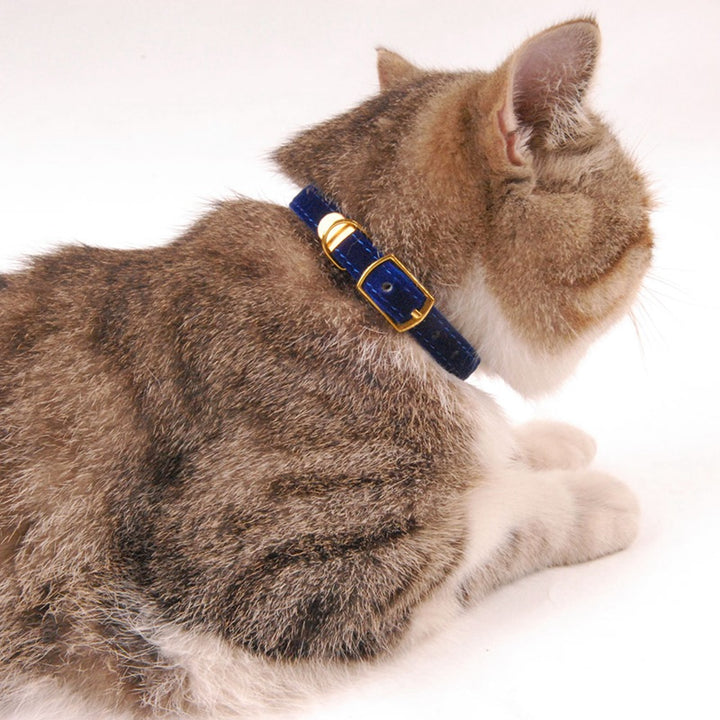 Cat collar