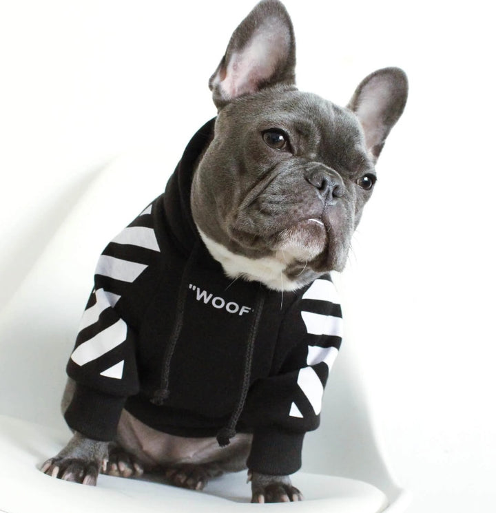 Sweater WOOF brand