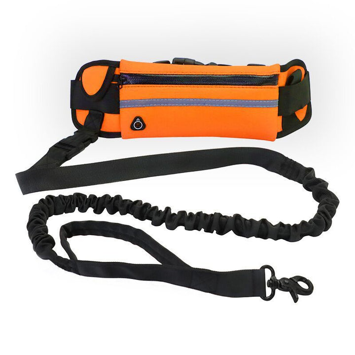 Purse & Leash For Dog Walkings