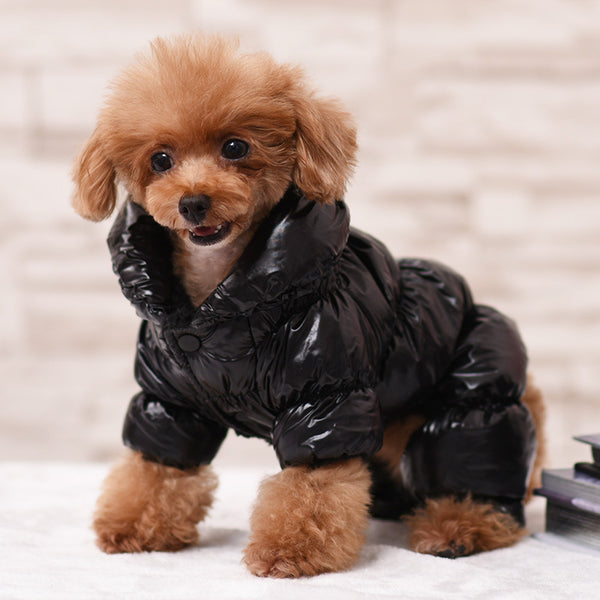 Pet Winter Coat