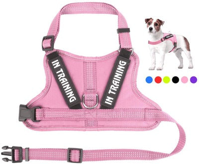 Personalize harness