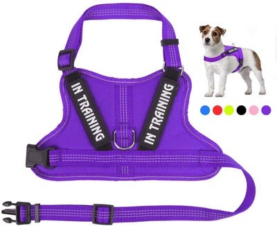 Personalize harness