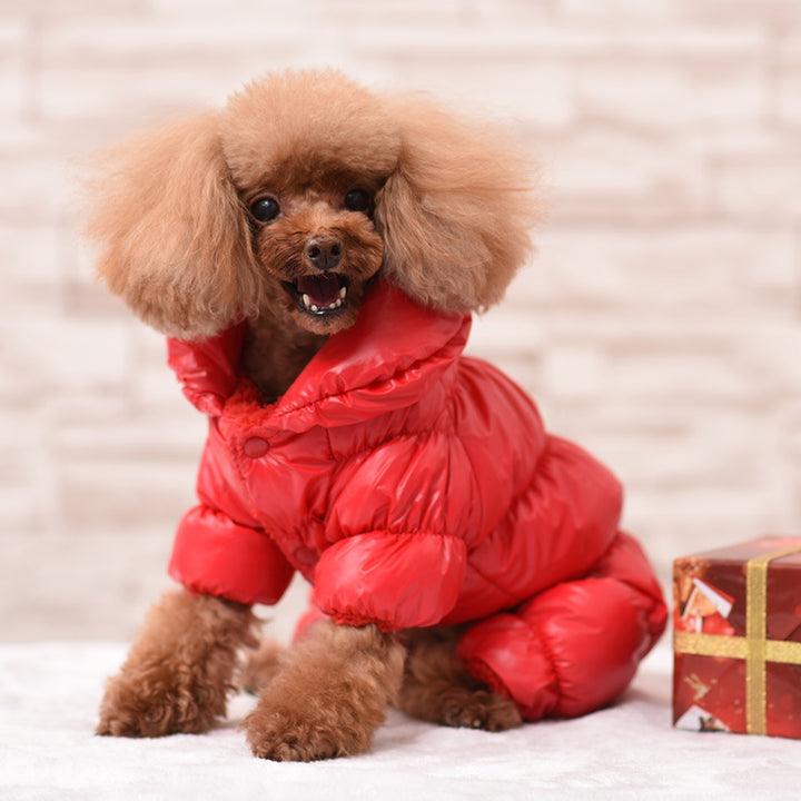 Pet Winter Coat