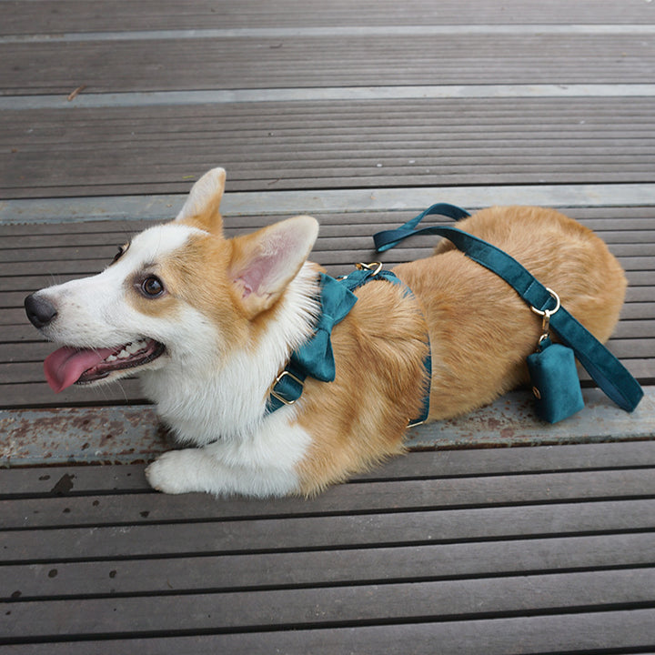 Pet Chest Harness