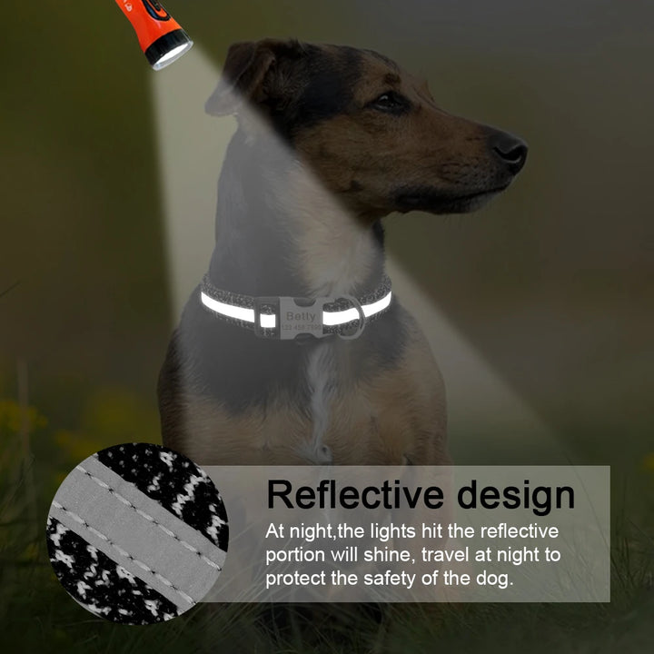 Pet Customized ID Collars