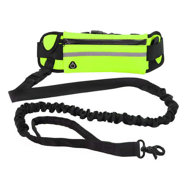 Purse & Leash For Dog Walkings