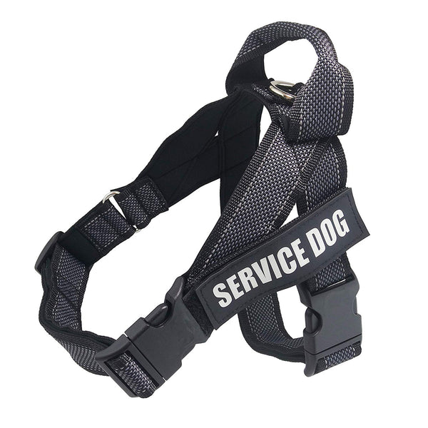 Personalize Pet harness
