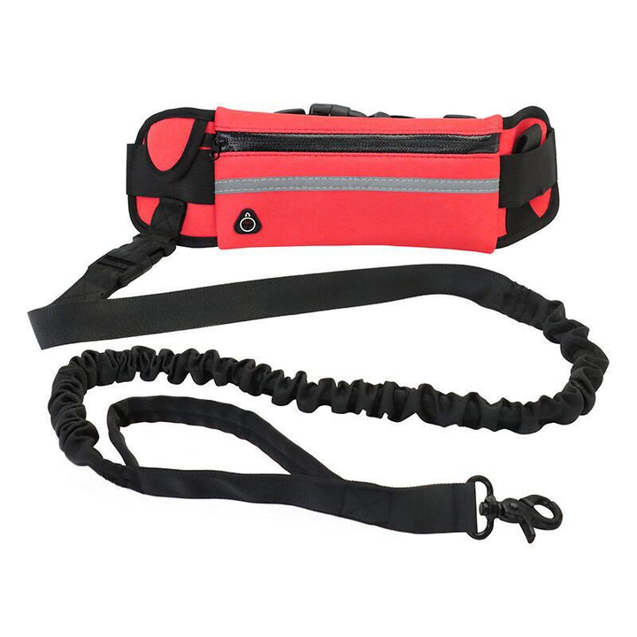 Purse & Leash For Dog Walkings