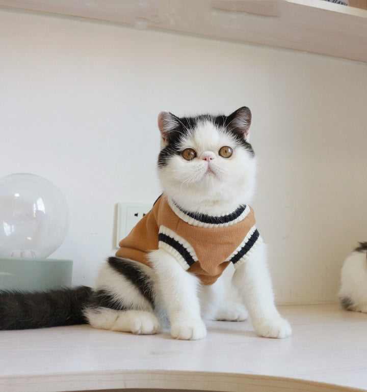 American College Style Cat Sweater