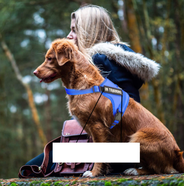 Personalize harness