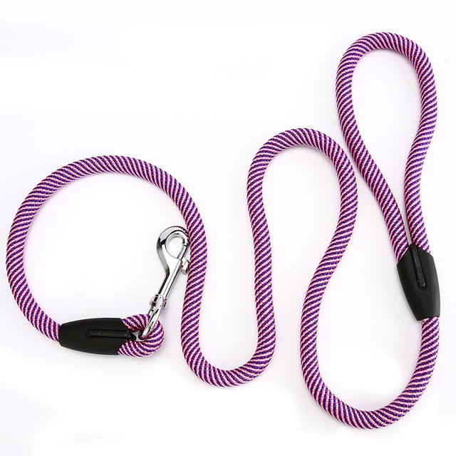 Dog and cat leash