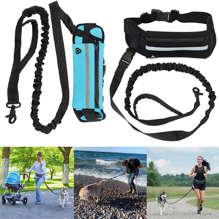 Purse & Leash For Dog Walkings