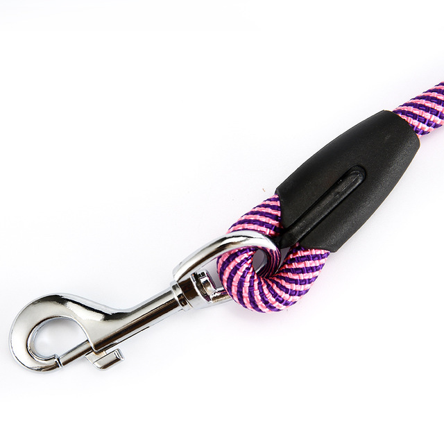 Dog and cat leash