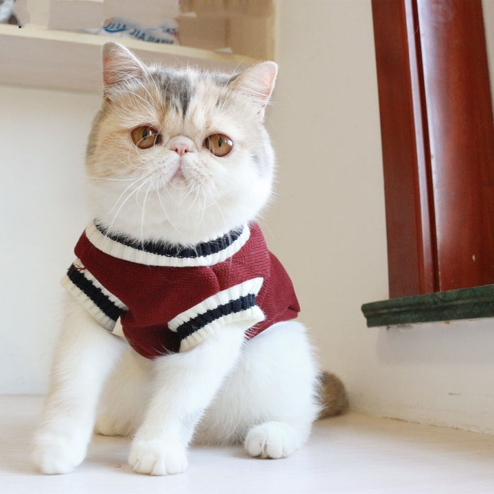 American College Style Cat Sweater