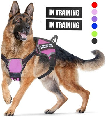 Personalized Pet Harness