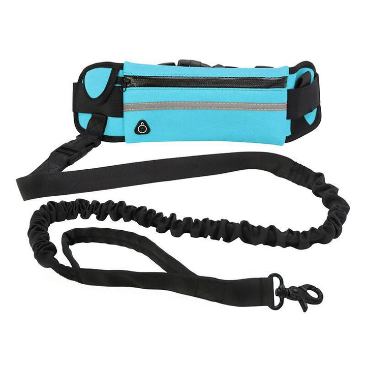 Purse & Leash For Dog Walkings