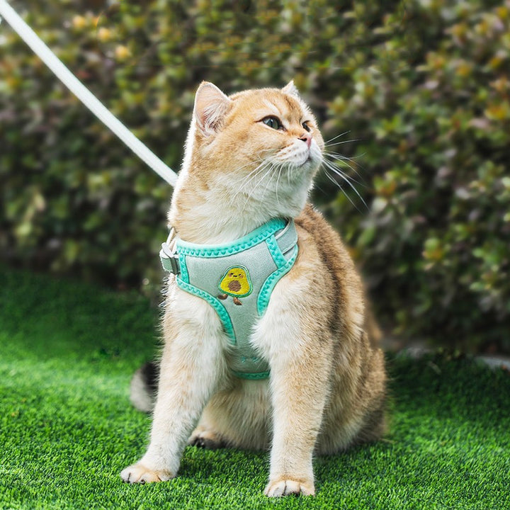 Cat harness