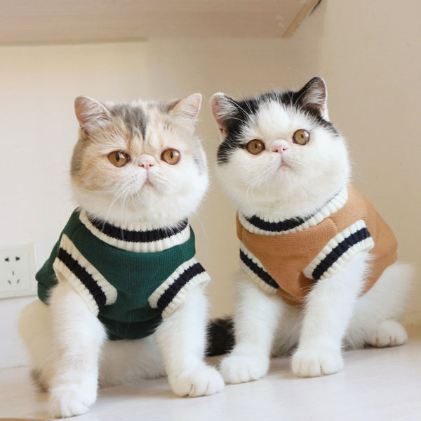 American College Style Cat Sweater