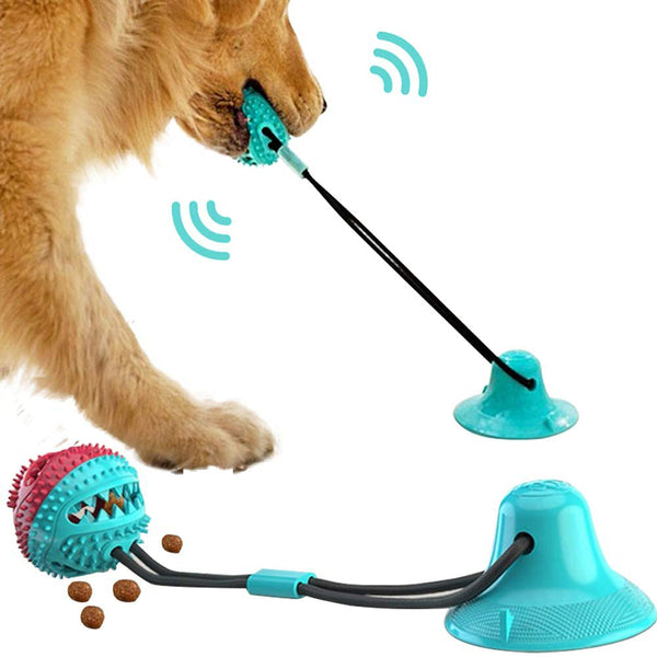 Dog Silicon Ball Toy