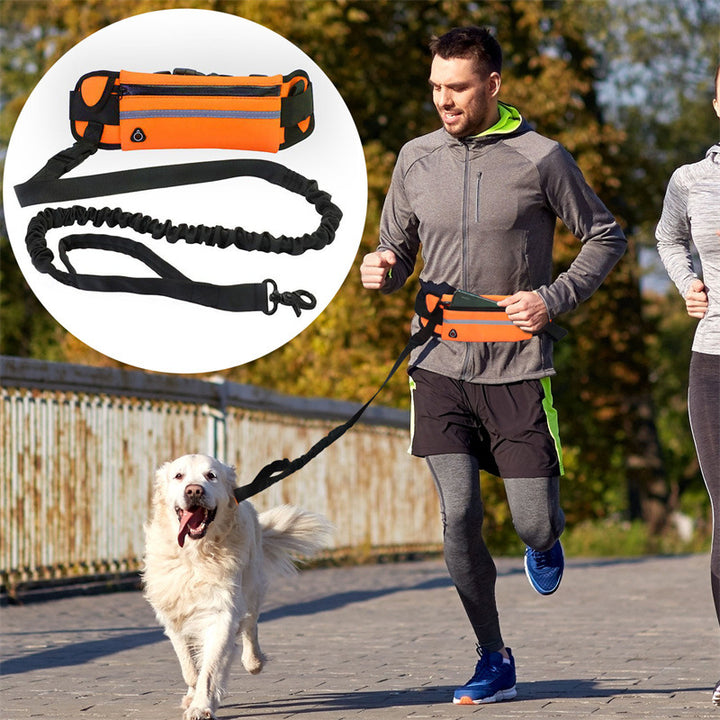 Purse & Leash For Dog Walkings