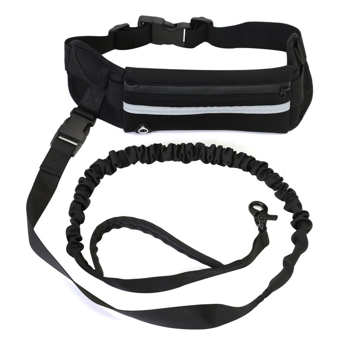 Purse & Leash For Dog Walkings