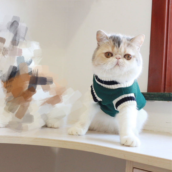 American College Style Cat Sweater